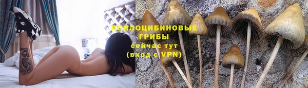MDMA Армянск