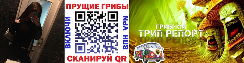 Галлюциногенные грибы прущие грибы  даркнет сайт  Губкинский 