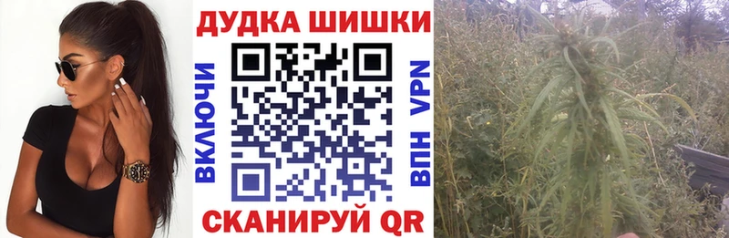 Каннабис SATIVA & INDICA  сколько стоит  Губкинский 